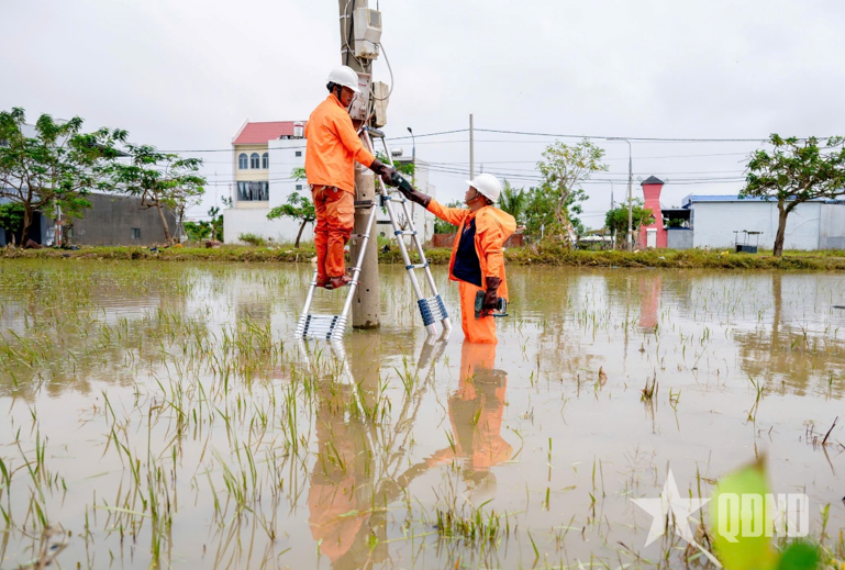 Điện lực tỉnh Đắk Lắk phấn đấu cấp điện 100% cuối ngày 26-11